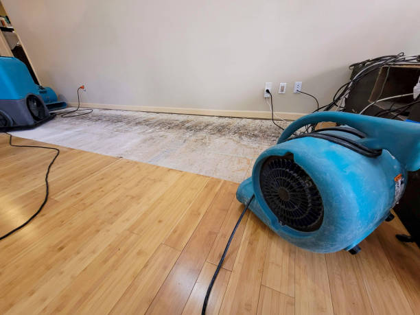 Professional Ceiling Water Damage Repair technician working in Lawrence, MA